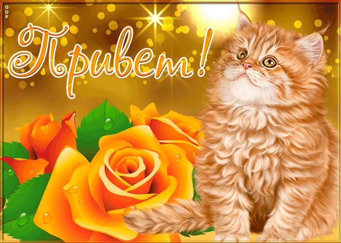 Открытка - котик передает огромный привет - лучшие пожелания на steklorez69.ru