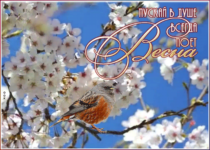 Открытка открытка пускай в душе поет весна