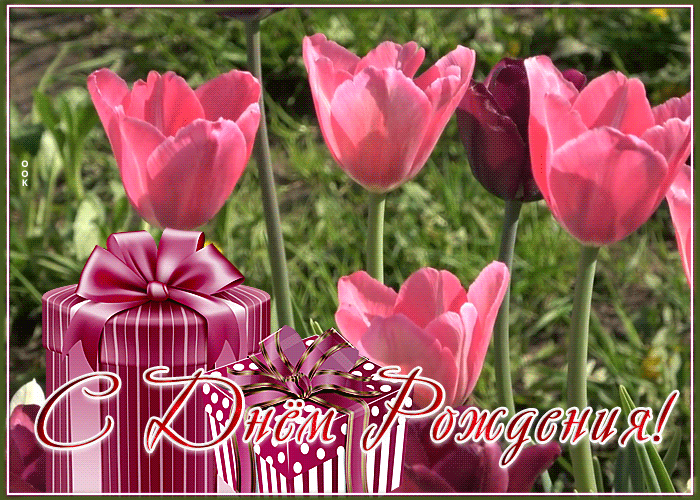 Picture открытка с днем рождения женщине с чудесными розовыми тюльпанами