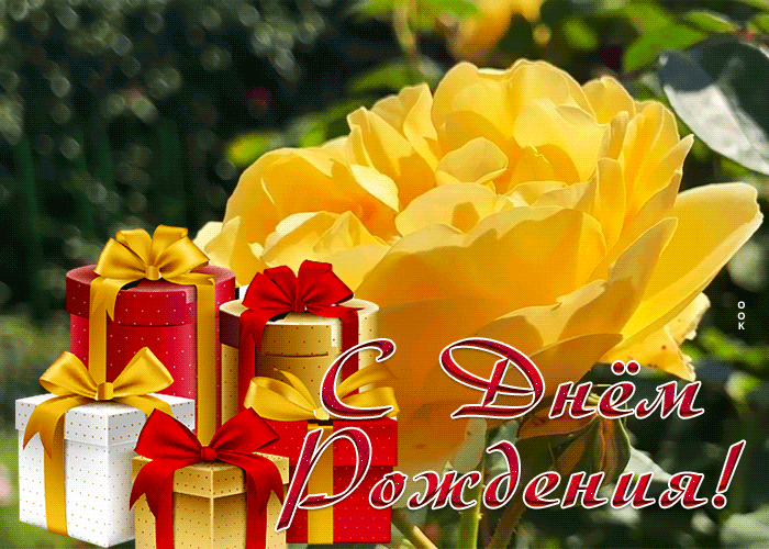 Postcard открытка с днем рождения женщине с великолепной розой и подарками