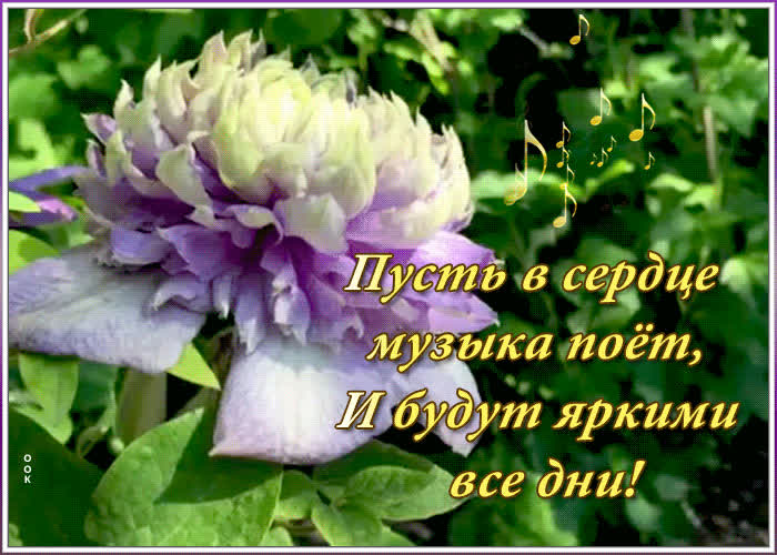 Открытка с пожеланием для настроения | Открытки Онлайн