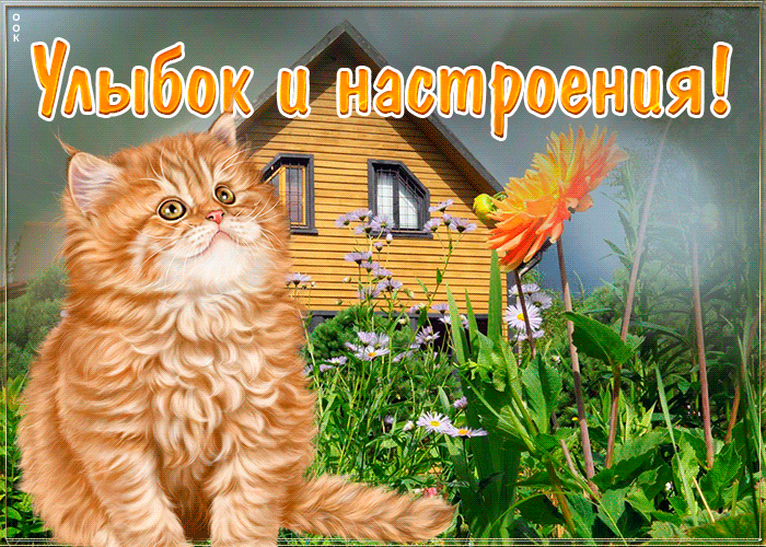Открытка открытка с пожеланиями с котиками