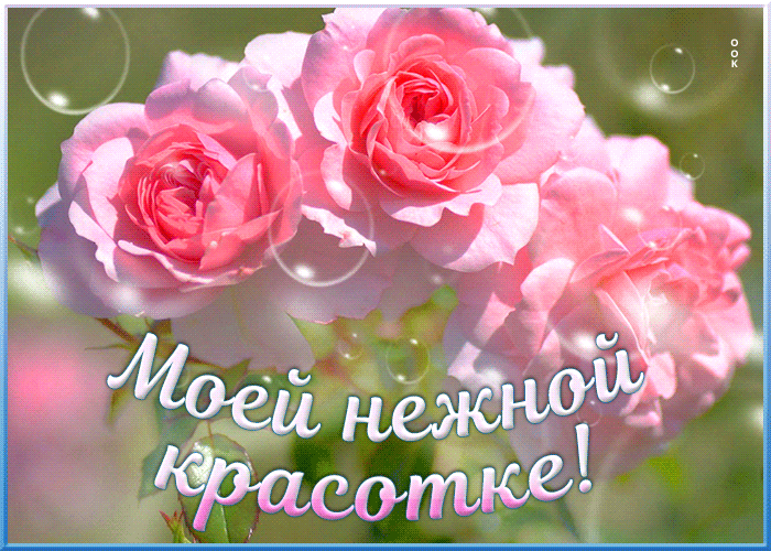 Открытка открытка с розами девушке
