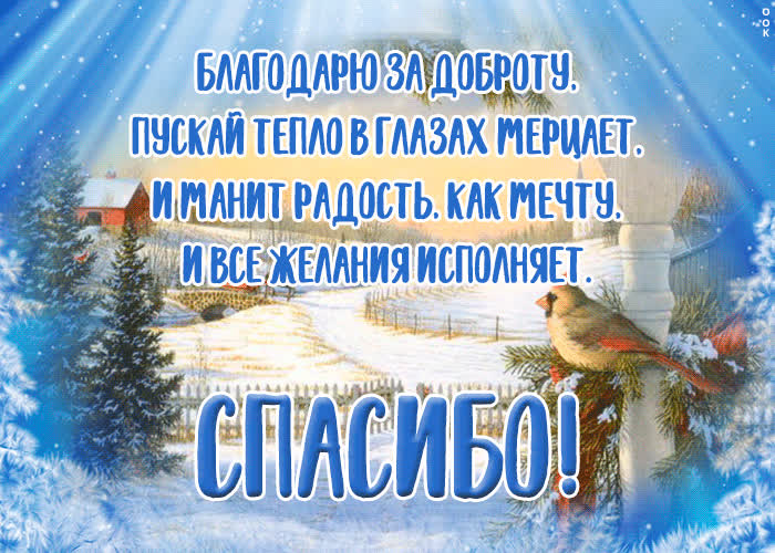 Новогодние открытки от Больнички! - АНО «Благотворительная больница»