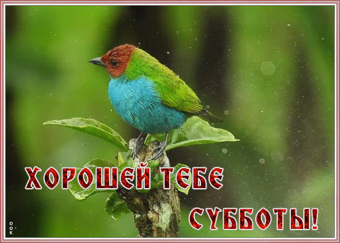 Открытка суббота день хороший | Открытки Онлайн