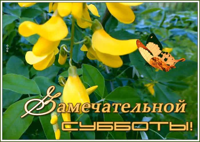 Открытка замечательной субботы | Открытки Онлайн