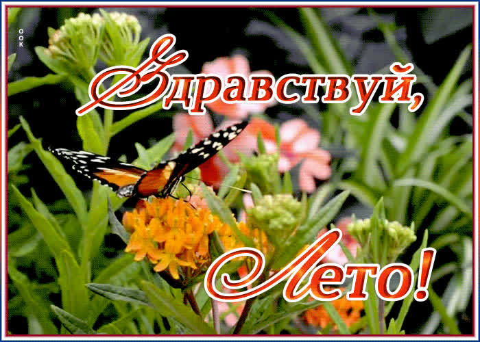 Здравствуй Лето Новый Год Здравствуй Лето Новый Год