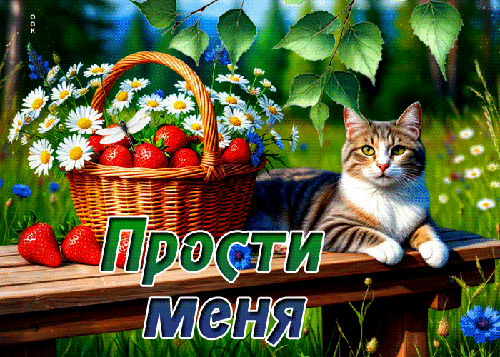 Postcard озорная гиф-открытка, прости за все