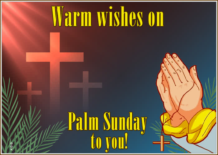 Postcard palm sunday