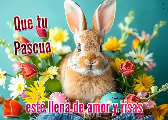 Picture pascua