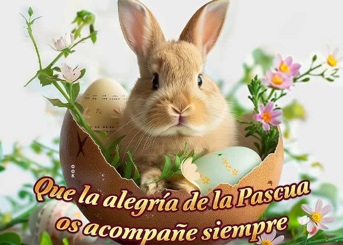 Postcard pascua