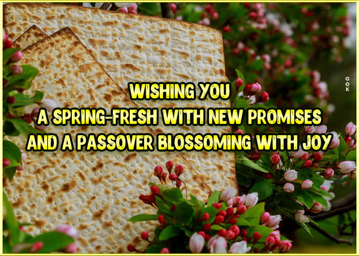 Picture passover