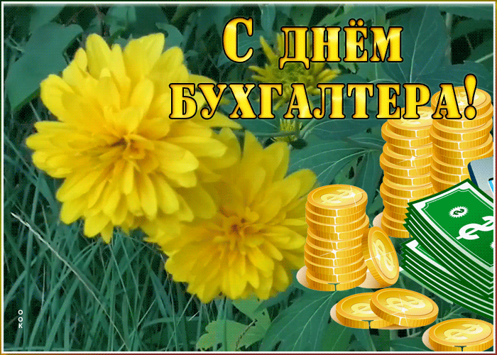 Картинка праздничная открытка день бухгалтера в россии