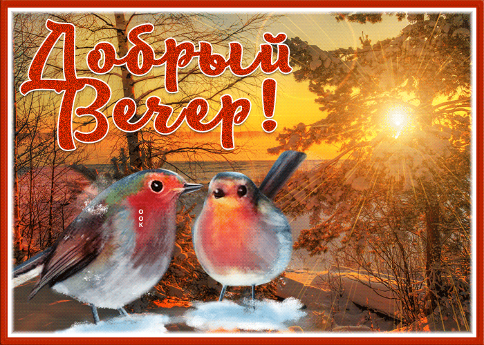 Picture прекрасная картинка добрый вечер со снегом и птичками