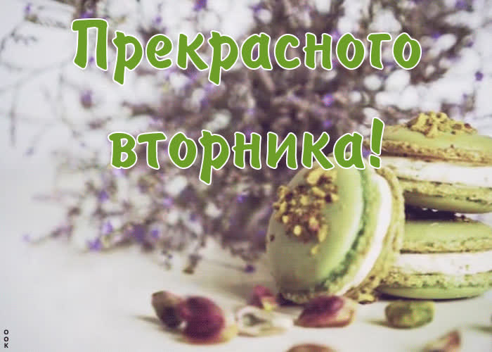 Картинки вторник весна