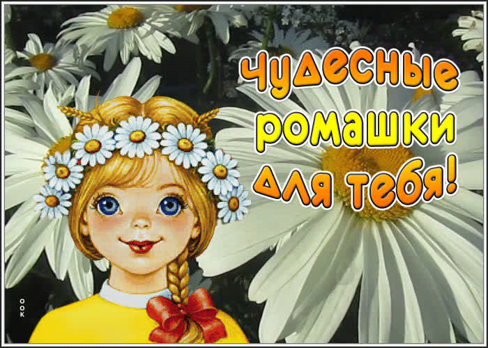Фото открытка с ромашками | Открытки Онлайн
