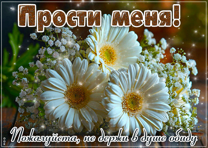 Postcard приветливая гиф-открытка, прости, пожалуйста