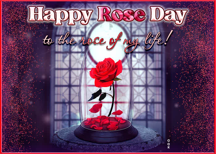 Picture rose day