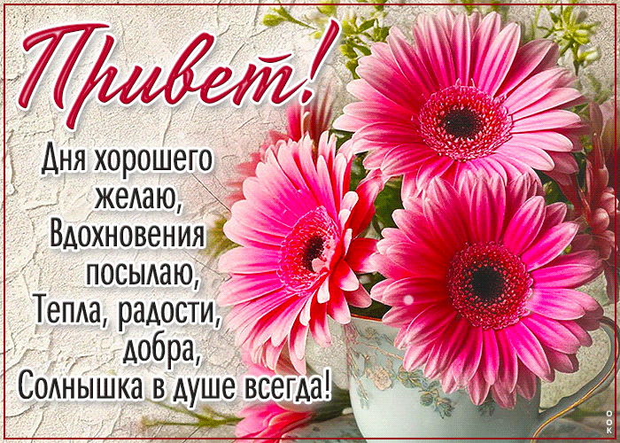 Postcard сияющая гиф-открытка, привет, чудного дня