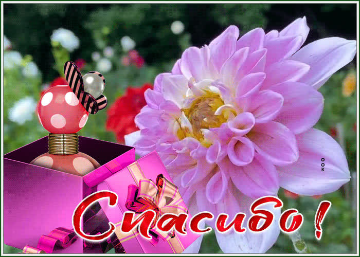 Картинка спасибо большое с подарочком | Открытки Онлайн