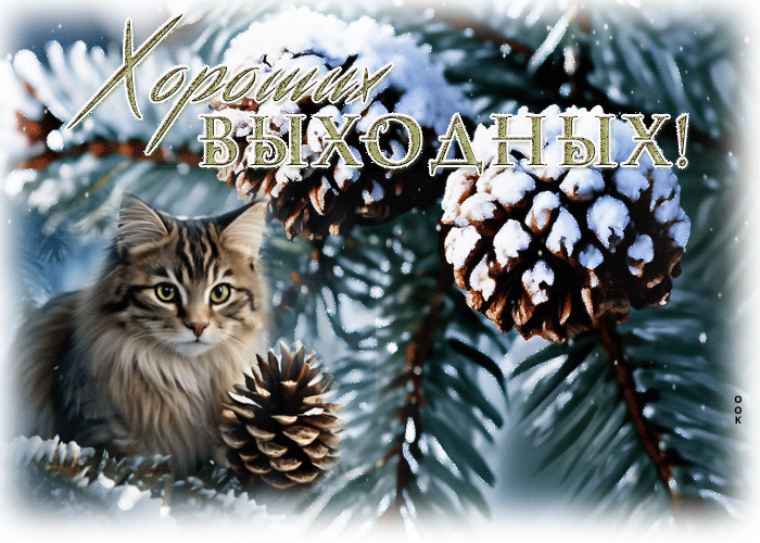 Picture удивительная гиф-открытка с котиком, желающий хороших выходных