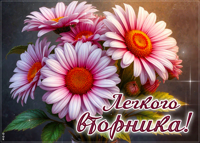 Picture уникальная гиф-открытка, легкого вторника