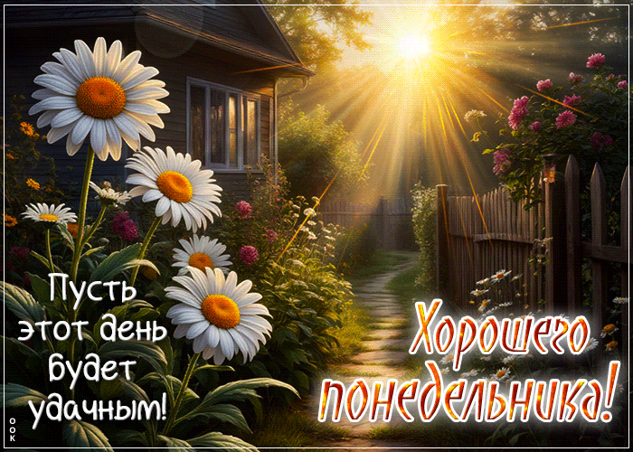 Postcard волнующая гиф-открытка, пусть понедельник будет удачным