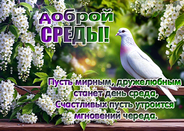 Postcard яркая гиф-открытка, доброй среды вам