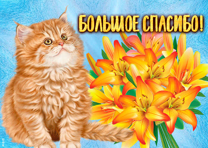Замечательная картинка спасибо | Открытки Онлайн