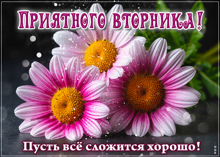 Picture живая гиф-открытка, приятного вторника