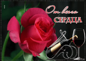 Картинка анимационная открытка с розой
