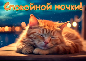 Postcard безупречно выполненная открытка с котиком спокойной ночки!