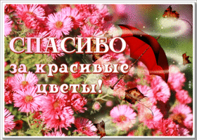 Postcard благодарная гиф-открытка спасибо за красивые цветы