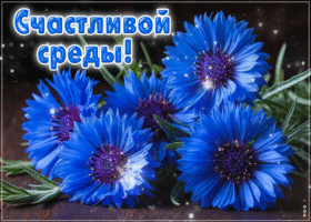 Picture благородная гиф-открытка, счастливой среды