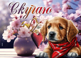 Picture чарующая гиф-открытка с грустной, скучающей собачкой