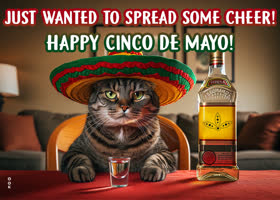 Picture cinco de mayo