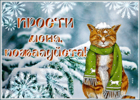 Postcard чудесная открытка прости меня, с котиком и снегом