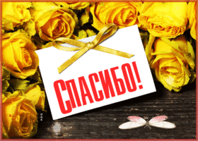 Picture чудесная открытка спасибо с желтыми розами