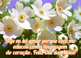 Postcard dia das mães