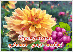 Picture дивная открытка с прекрасными цветами для тебя