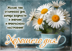 Postcard душевная гиф-открытка, желает тебе отличного дня