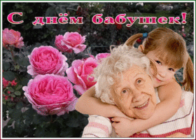 Картинка душевная картинка день бабушек