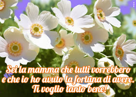 Postcard festa della mamma