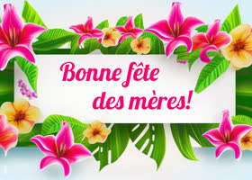 Postcard fête des mères