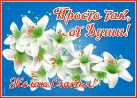 Картинка фото открытка с цветами