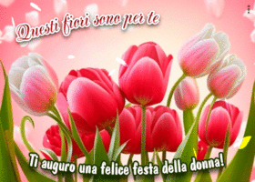Picture giornata internazionale della donna
