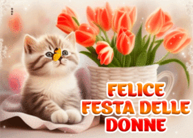 Picture giornata internazionale della donna