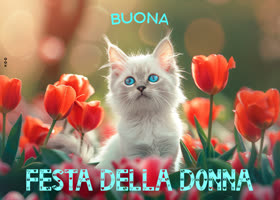 Picture giornata internazionale della donna