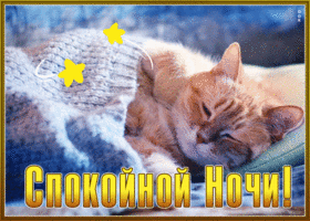 Picture глубокая гиф-открытка со спящим котиком, спокойной ночи