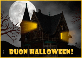 Picture halloween